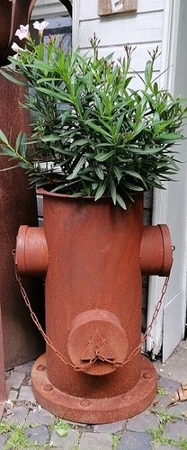 Hydrant cm hoch aus - ca.,