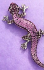 Gecko Salamander Eidechse