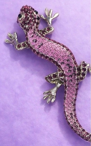 Gecko salamander eidechse - gecko,