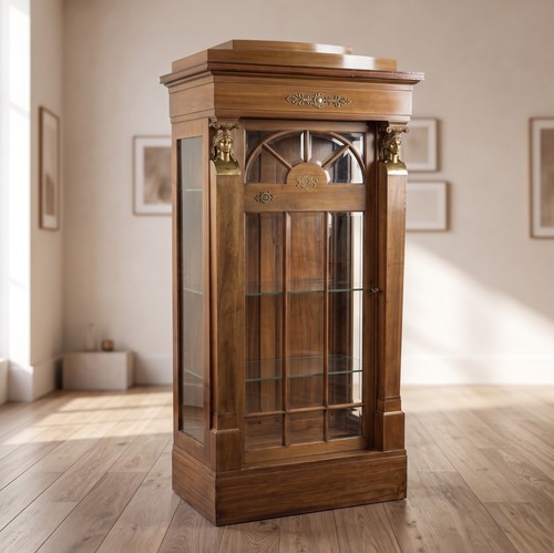22237 vitrine schaukasten - 22237,