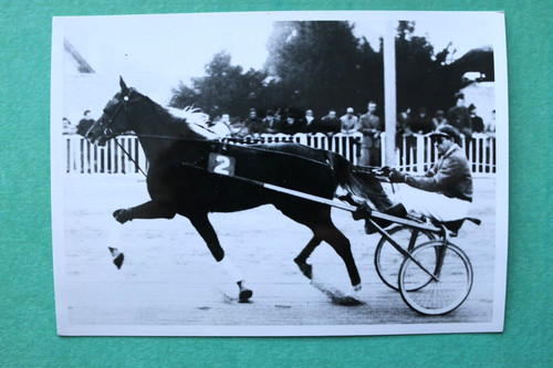 Epm foto pferderennen 1952 - epm),
