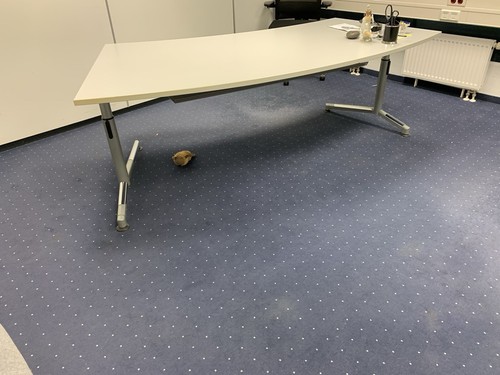 Schöner schreibtisch von - schöner,