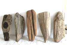 Schwemmholz Treibholz 5