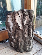 Riesige Schale Höhle Rinde Moos Birke  Holz  Baum Deko Unikat 43 x 28 cm Lampe 