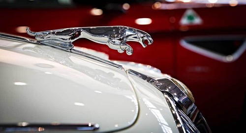 Leinwand bilder jaguar - bilder,