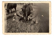 Foto/Portrait Wehrmacht