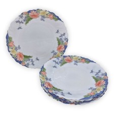 Speiseteller Kuchenteller