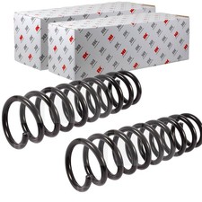 2X NK FAHRWERKSFEDERN SATZ