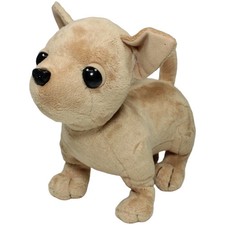 Simba Süßer Chihuahua