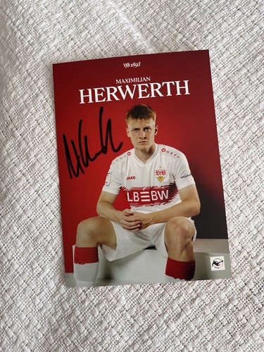 Maximilian herwerth vfb - maximilian,