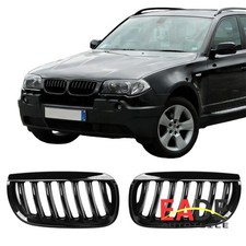 KÜHLERGRILL NIEREN GRILL