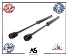 2X Tailgate Boot Gas Struts