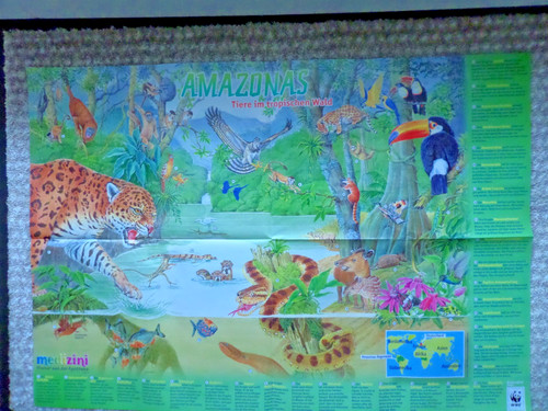 59x41 poster amazonas tiere - 59x41,