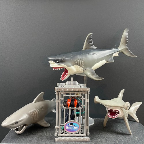 Chap mei sharks - chap,