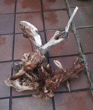 XL Treibholz Schwemmholz 🤩