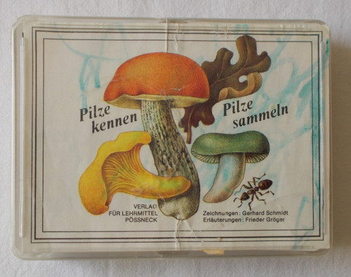 Pilze kennen sammeln - sammeln,
