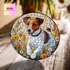 Jack Russell Terrier