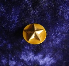 Crest Abzeichen Boy Scouts