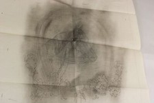 A19/ Entw. Zeichnung f. Fahne um 1900 - Pferdekopf im Hufeisen , Reitverein /S18