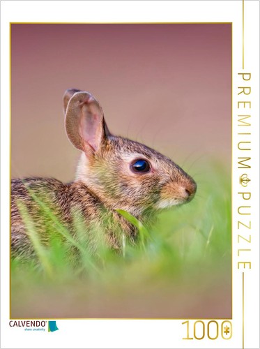 Calvendo puzzle niedliche - puzzle,