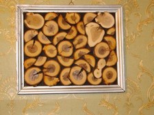 Holzbild, Wanddeko, shabby, Natur, Bild, Holzscheiben, Pflaume, Flieder