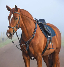 Horseware Micklem Martingale 3-Punkt ergonomisch elastisches Leder Brustschild
