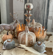 SHABBY  KÜRBIS HOLZ BEIGE