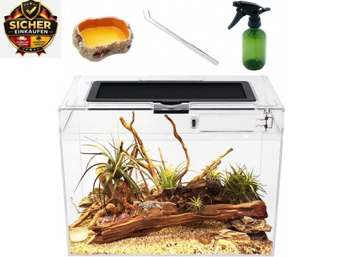 Reptile growth mini terrarium - reptile,