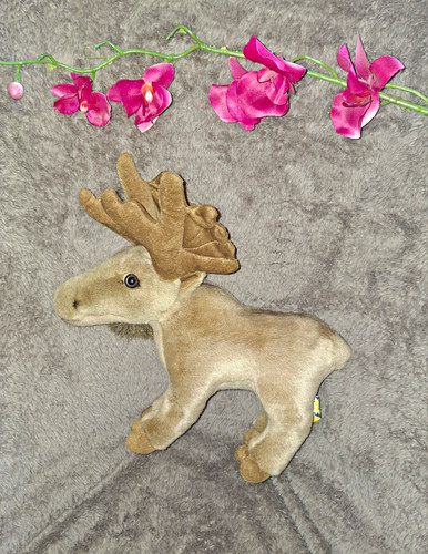 Pant toys elch stoff - toys, &