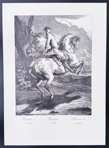 Johann elias ridinger - johann,