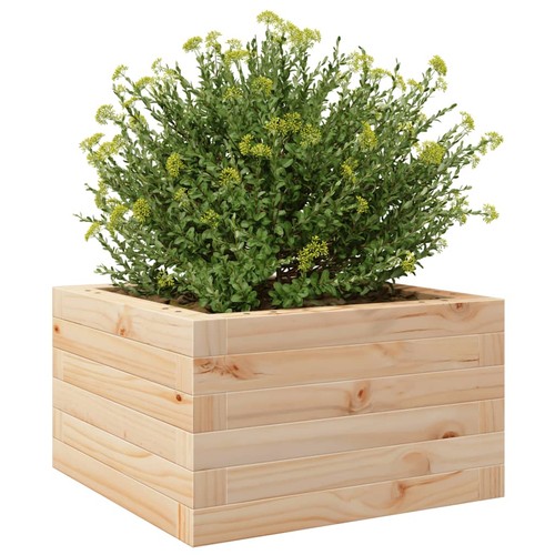 Pflanzkübel garten - |, |