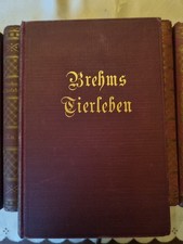 Brehms Tierleben 1927, 24 Bände - 12 Bücher Curt Brenner Hamburg Bücher Konvolut