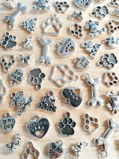 Hunde pfoten knochen - hunde,