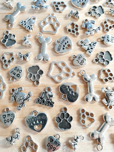 Hunde pfoten knochen - pfoten,