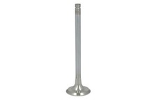 Exhaust valve for FENDT 203 P