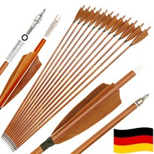 12X Carbonpfeile 30Zoll
