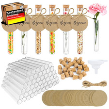 Reagenzglas Set mit Korken