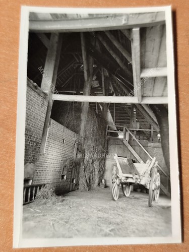 Foto leiterwagen stroh heu - stroh,