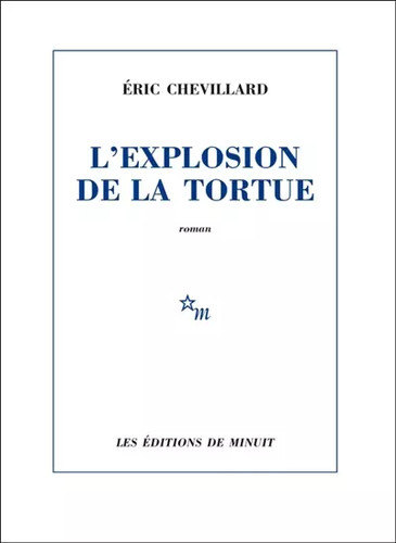 Explosion tortue eric - la, tortue,
