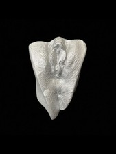 Vagina Gipsabdruck 3D Original