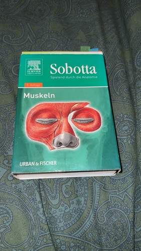 Sobotta lernkarten muskeln - muskeln, 5