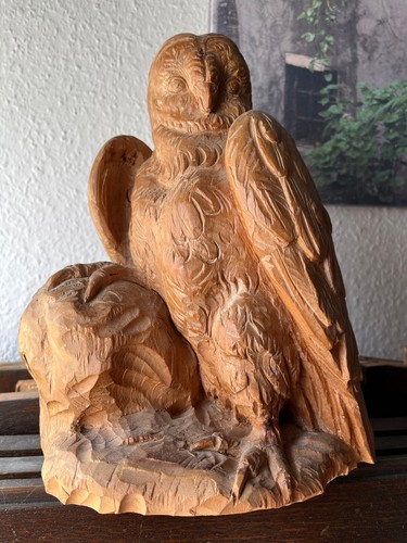 Greifvogel eule - greifvogel/eule,