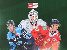 DEL 22/23 Teamset Basecards