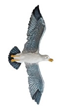 Wanddeko möwe wandbild - wanddeko,
