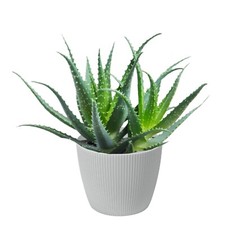 Blumentopf Übertopf Rund