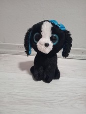Glubschi baby welpe - welpe, mit