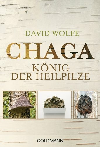 Chaga könig der - der, heilpilze