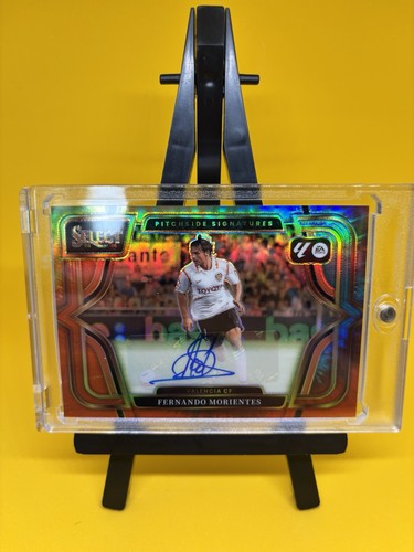 Panini select fernando - 25/26,