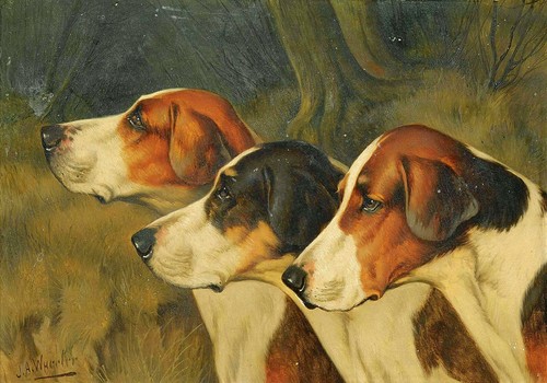 John arnold alfred - john,