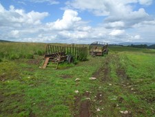 Foto A3 Mobile Silage\/